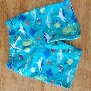 Toddler swim trunks size 4